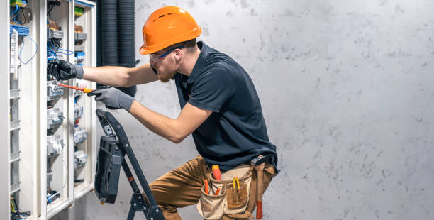 Best Electric Panel Repair  in Olivarez, TX